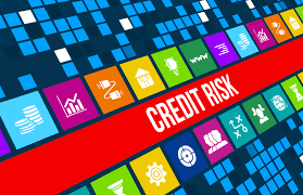 Credit Risk Analysis and Modeling